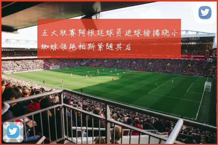五大联赛阿根廷球员进球榜揭晓小蜘蛛领跑帕斯紧随其后