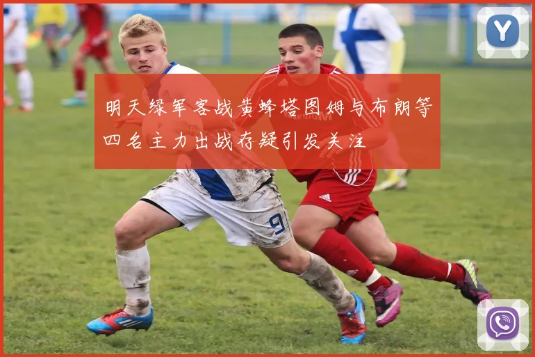 明天绿军客战黄蜂塔图姆与布朗等四名主力出战存疑引发关注