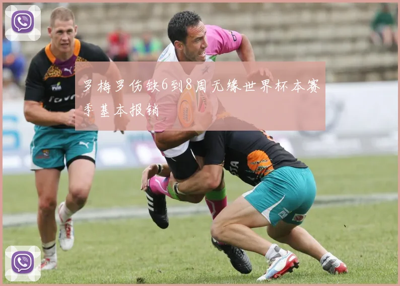 罗梅罗伤缺6到8周无缘世界杯本赛季基本报销