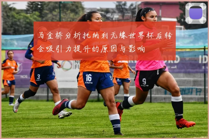 马金桥分析托纳利无缘世界杯后转会吸引力提升的原因与影响