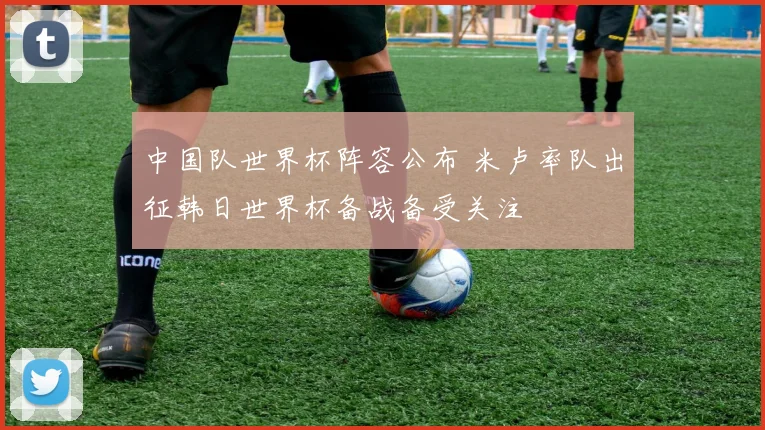 中国队世界杯阵容公布 米卢率队出征韩日世界杯备战备受关注