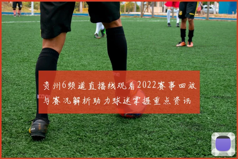 贵州6频道直播线观看2022赛事回放与赛况解析助力球迷掌握重点资讯