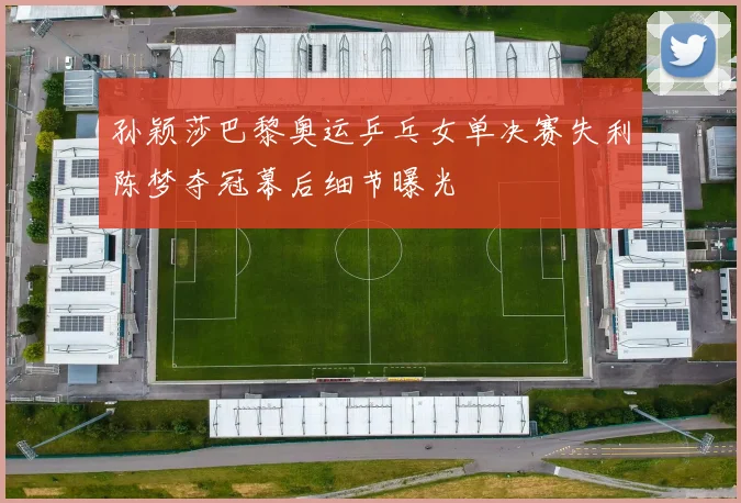 孙颖莎巴黎奥运乒乓女单决赛失利陈梦夺冠幕后细节曝光