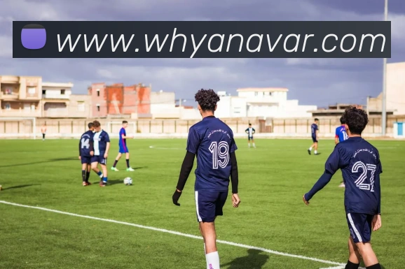 多媒体互动体验